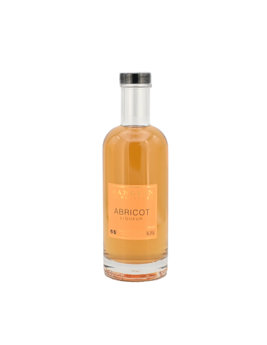 MANGUIN Liqueur Abricot